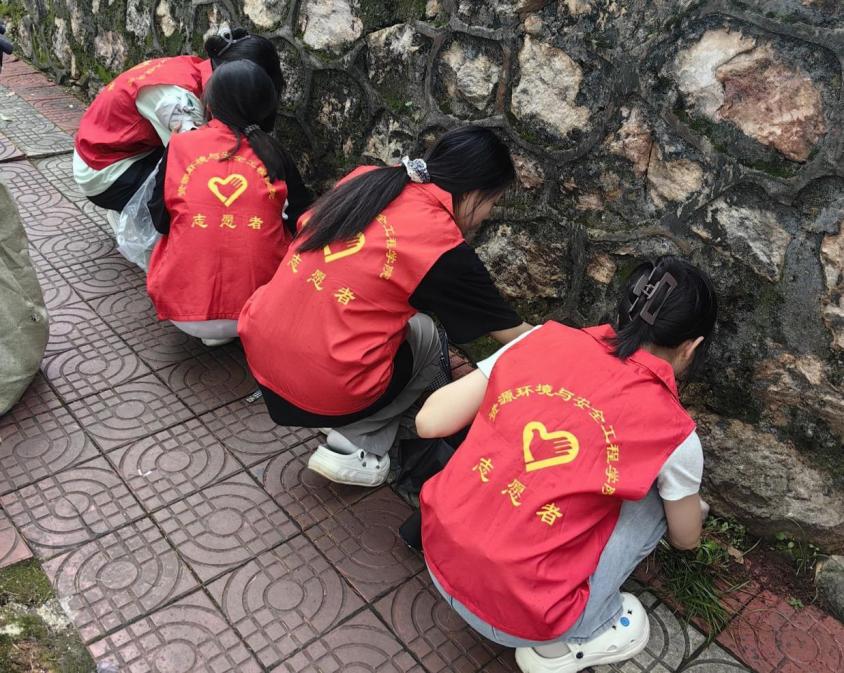 5bc38a74a77341cf908dba6733307475.png 图片 2_3.png