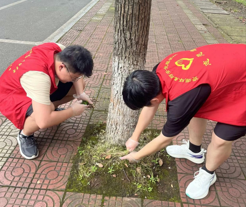 6e88e401b75e4294872afa46603311ba.png 图片 2_2.png