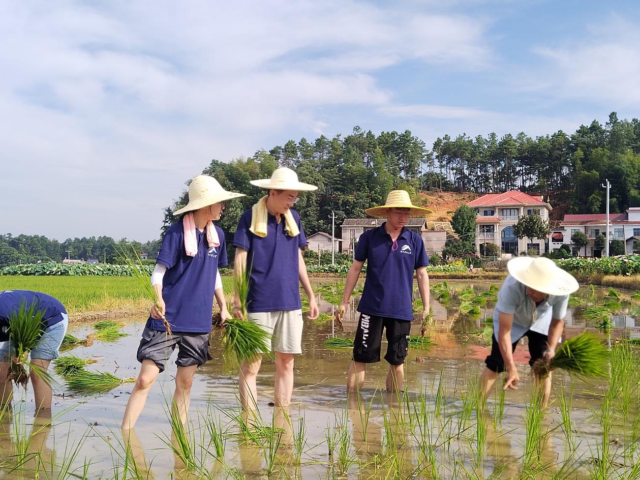 a1f9a2c175b04411975e13452b32469b.png 图片2.png